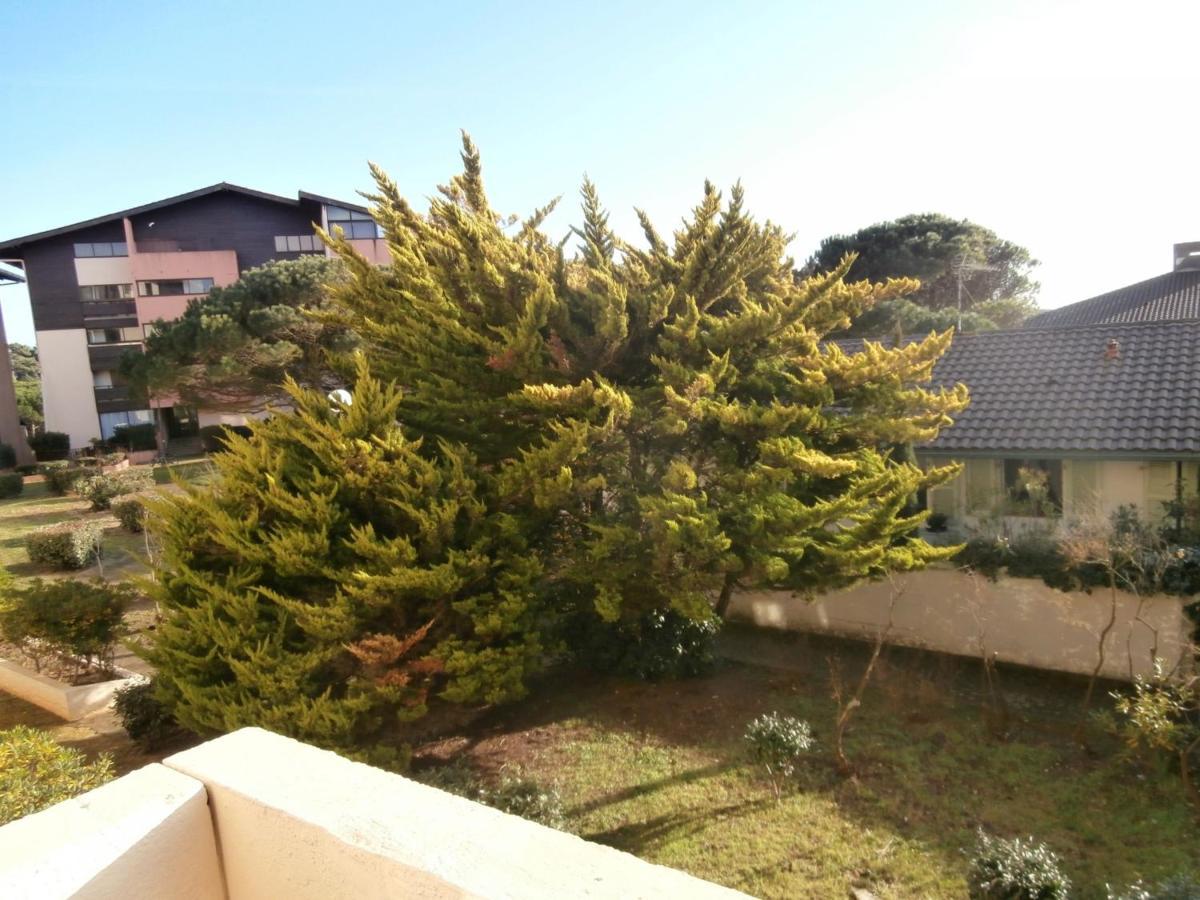 Appartement Renove Avec Balcon, Proche Plage Et Marche - 4 Pers, Calme & Confort A Seignosse - Fr-1-239-460 Zewnętrze zdjęcie